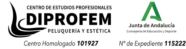 Logo Diprofem